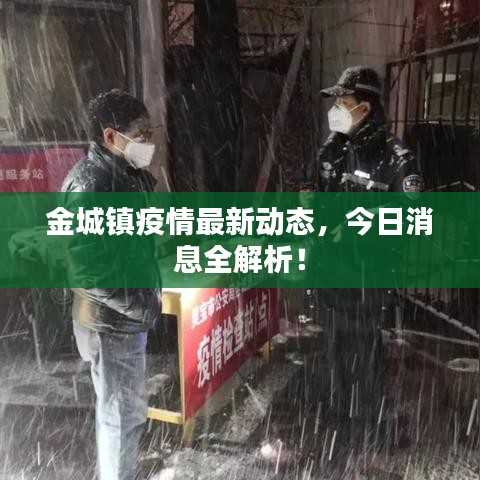 金城镇疫情最新动态，今日消息全解析！
