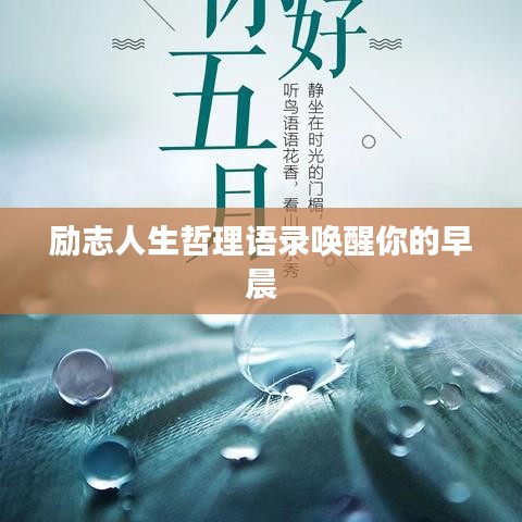 励志人生哲理语录唤醒你的早晨