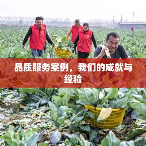 品质服务案例，成就与经验的分享