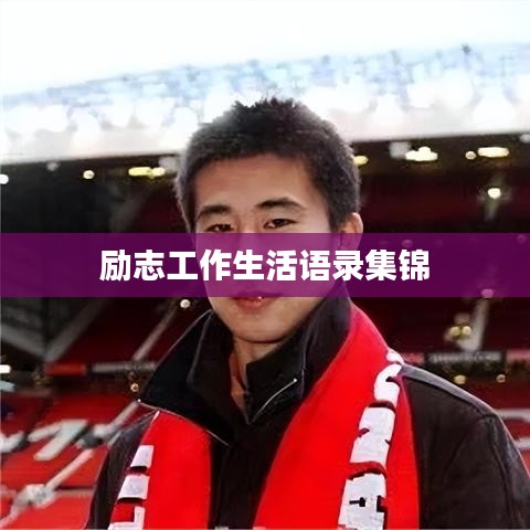 励志工作生活语录集锦