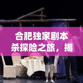 合肥独家剧本杀探险之旅，揭开神秘剧情的序幕！