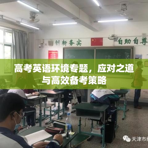 高考英语环境专题，应对之道与高效备考策略