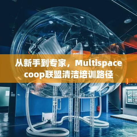 从新手到清洁专家，Multispacecoop联盟培训路径解析