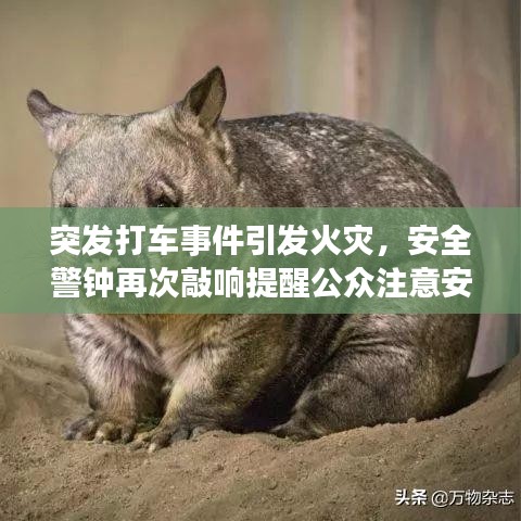 突发打车事件引发火灾，安全警钟再次敲响提醒公众注意安全