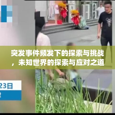 突发事件频发下的探索与挑战，未知世界的探索与应对之道（2023）
