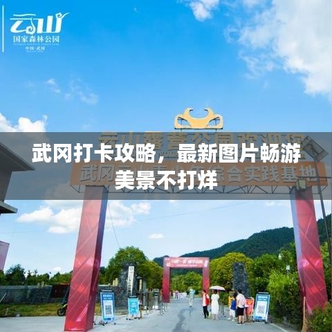 武冈打卡攻略，最新图片畅游美景不打烊