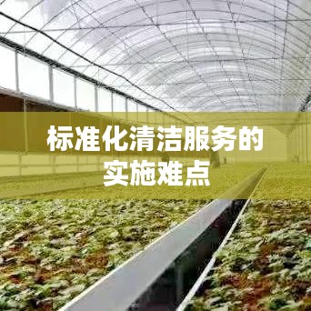 标准化清洁服务实施的难点与挑战