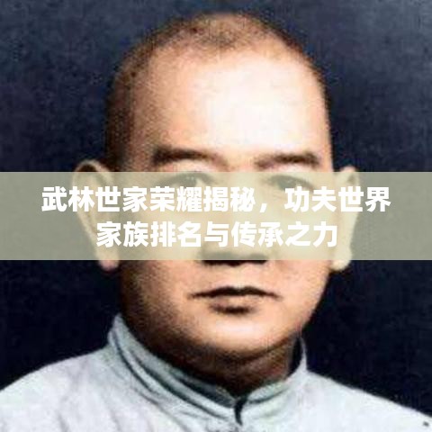 武林世家荣耀揭秘，功夫世界家族排名与传承之力