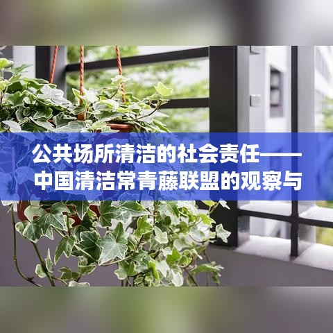 公共场所清洁的社会责任，中国清洁常青藤联盟倡议行动