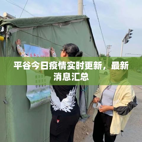 平谷今日疫情实时更新，最新消息汇总