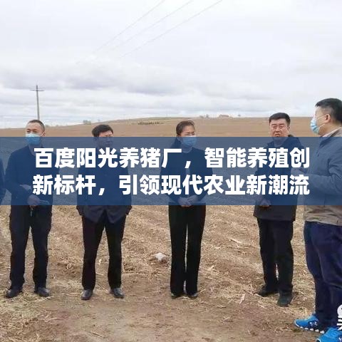百度阳光养猪厂，智能养殖创新标杆，引领现代农业新潮流