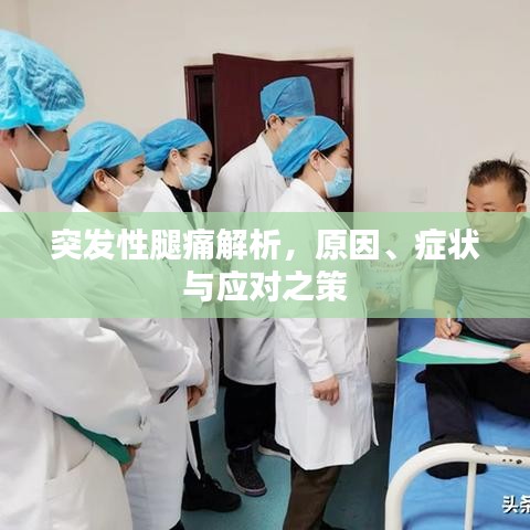 突发性腿痛解析，原因、症状与应对之策