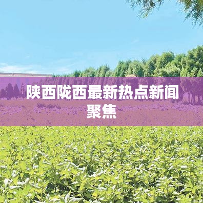 陕西陇西最新热点新闻聚焦