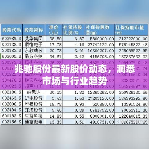 兆驰股份最新股价动态，洞悉市场与行业趋势