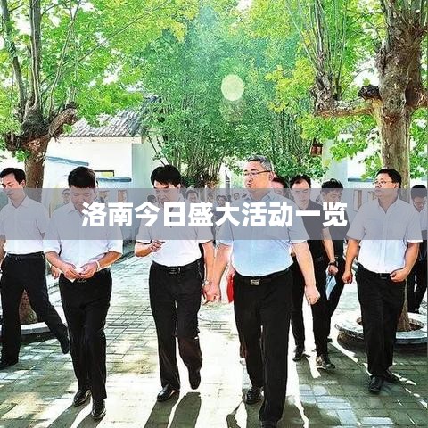 洛南今日盛大活动一览
