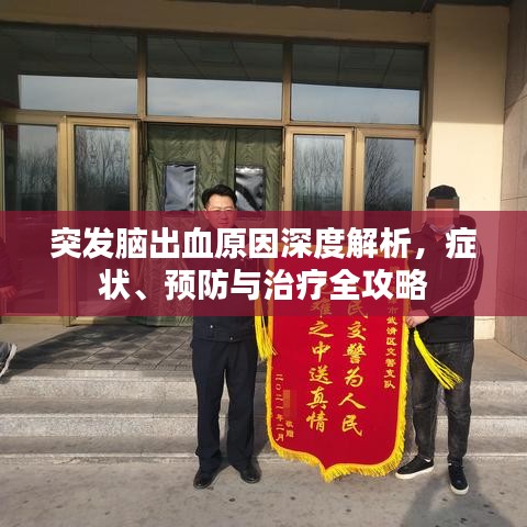 突发脑出血原因深度解析，症状、预防与治疗全攻略