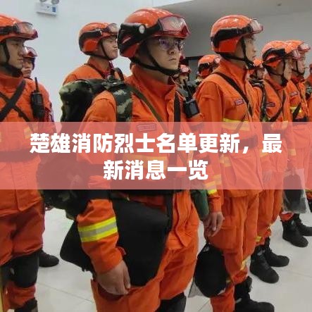 楚雄消防烈士名单更新，最新消息一览