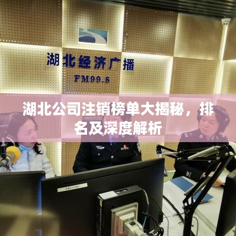 湖北公司注销榜单大揭秘，排名及深度解析
