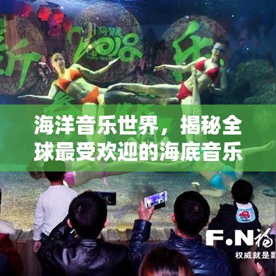 海洋音乐世界，揭秘全球最受欢迎的海底音乐盛宴排名！