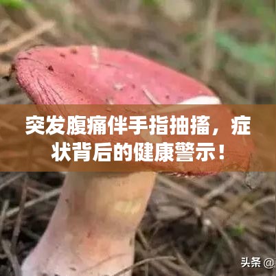 突发腹痛伴手指抽搐，症状背后的健康警示！
