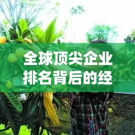 全球顶尖企业排名背后的经济力量比拼，各国世界5000强排名深度解析