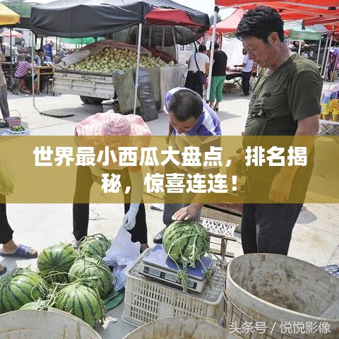 世界最小西瓜大盘点，排名揭秘，惊喜连连！
