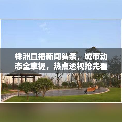株洲直播新闻头条，城市动态全掌握，热点透视抢先看