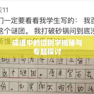 成语中的错别字揭秘与专题探讨