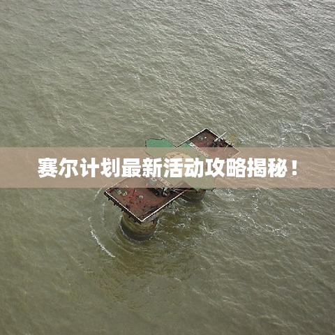 新闻中心 第41页