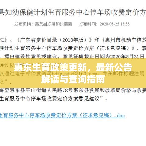 惠东生育政策更新，最新公告解读与查询指南