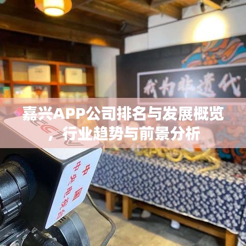 嘉兴APP公司排名与发展概览，行业趋势与前景分析