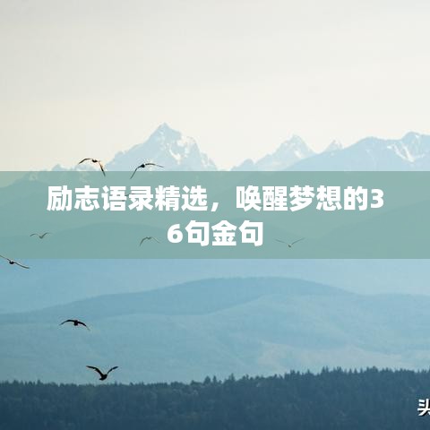 励志语录精选，唤醒梦想的36句金句