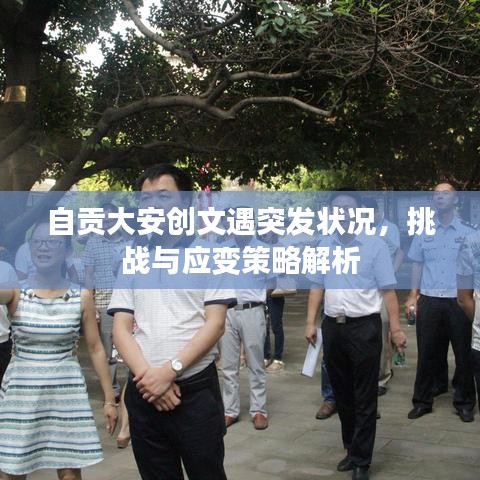 自贡大安创文遇突发状况，挑战与应变策略解析