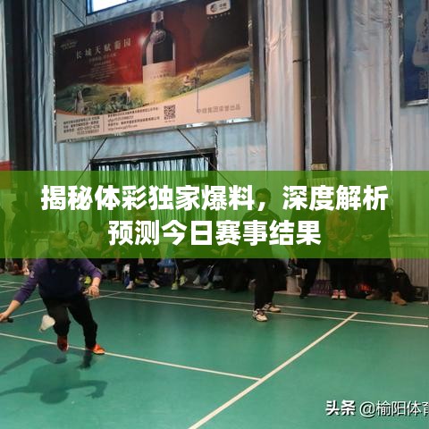 揭秘体彩独家爆料，深度解析预测今日赛事结果