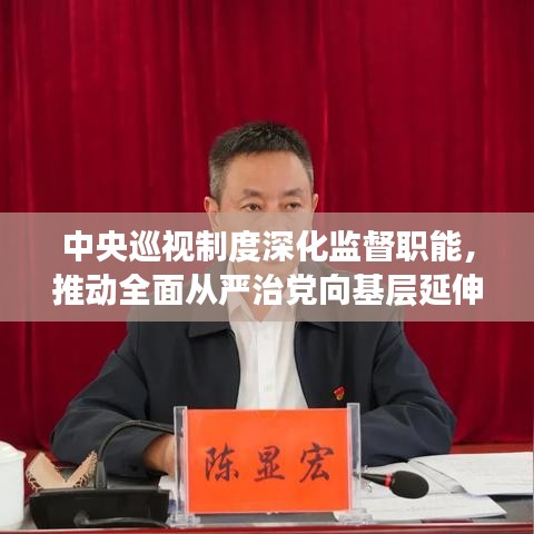 中央巡视制度深化监督职能，推动全面从严治党向基层延伸，四个落实引领前行