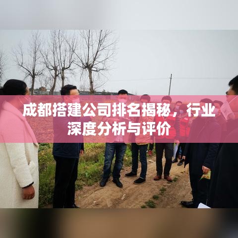 成都搭建公司排名揭秘，行业深度分析与评价