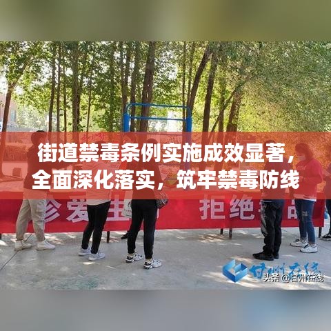 街道禁毒条例实施成效显著，全面深化落实，筑牢禁毒防线总结报告