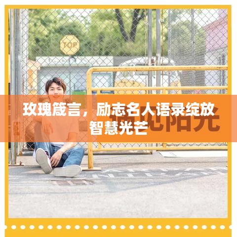 玫瑰箴言，励志名人语录绽放智慧光芒