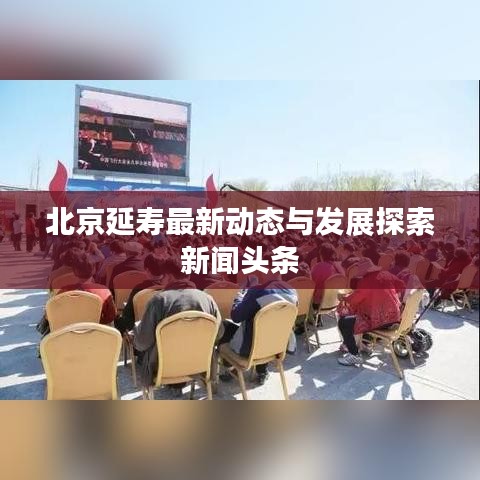 北京延寿最新动态与发展探索新闻头条