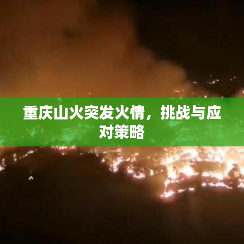 重庆山火突发火情，挑战与应对策略