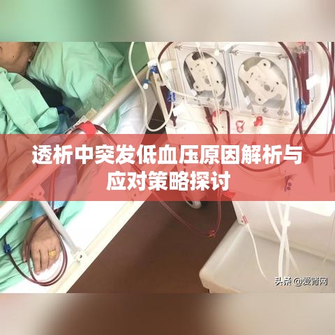 透析中突发低血压原因解析与应对策略探讨