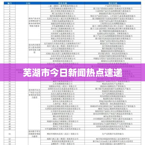 芜湖市今日新闻热点速递