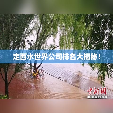 定西水世界公司排名大揭秘！