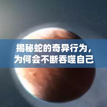 揭秘蛇的奇异行为，为何会不断吞噬自己的尾巴？