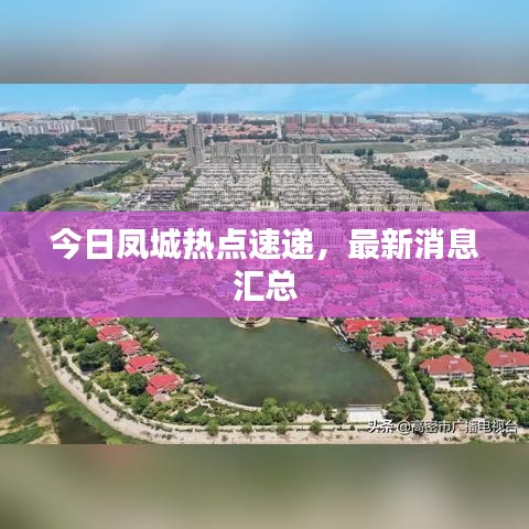 今日凤城热点速递，最新消息汇总