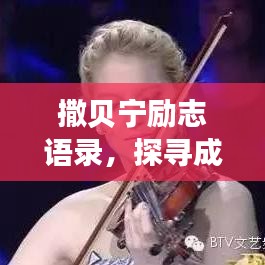 撒贝宁励志语录，探寻成功背后的智慧与力量