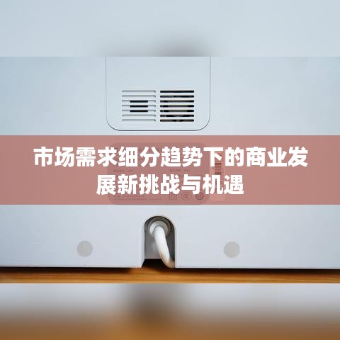 市场需求细分趋势下的商业发展新挑战与机遇
