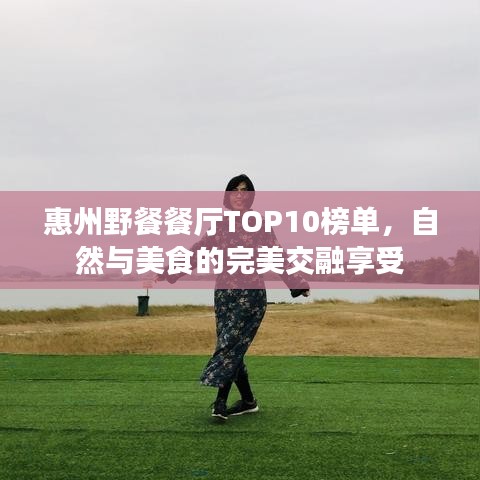 惠州野餐餐厅TOP10榜单，自然与美食的完美交融享受