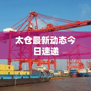 太仓最新动态今日速递