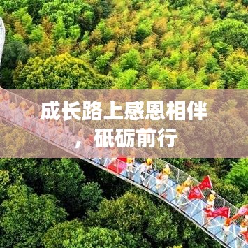 成长路上感恩相伴，砥砺前行